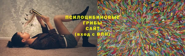 СК Лагань