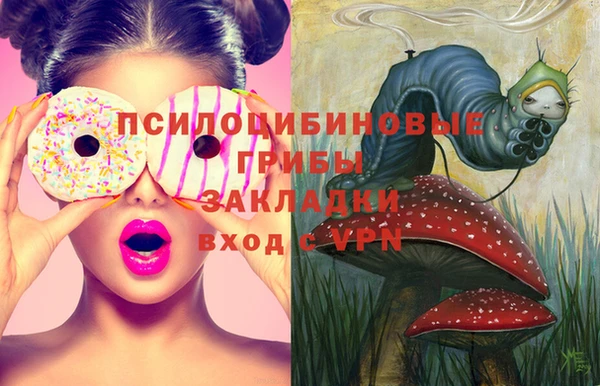 соль курить ск Кукмор