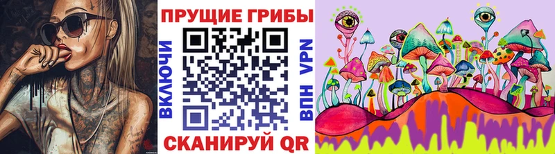 Купить где  Геленджик  Псилоцибиновые грибы Magic Shrooms 